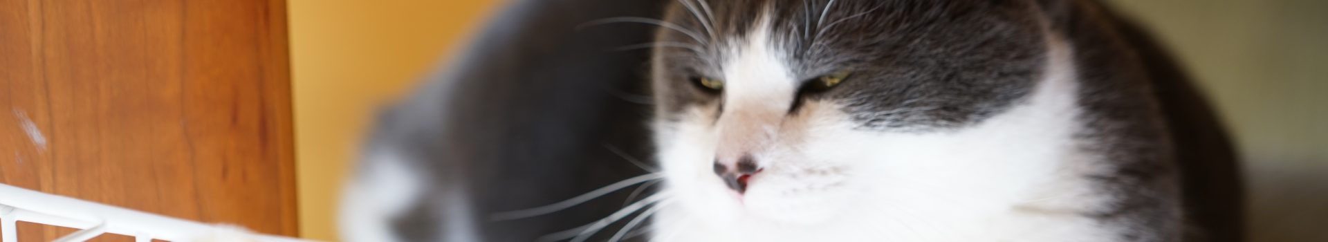 在宅医療ネットワーク　花